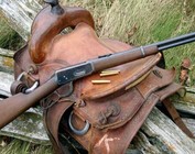 Firearms